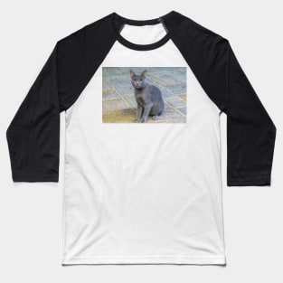 alley cat Baseball T-Shirt